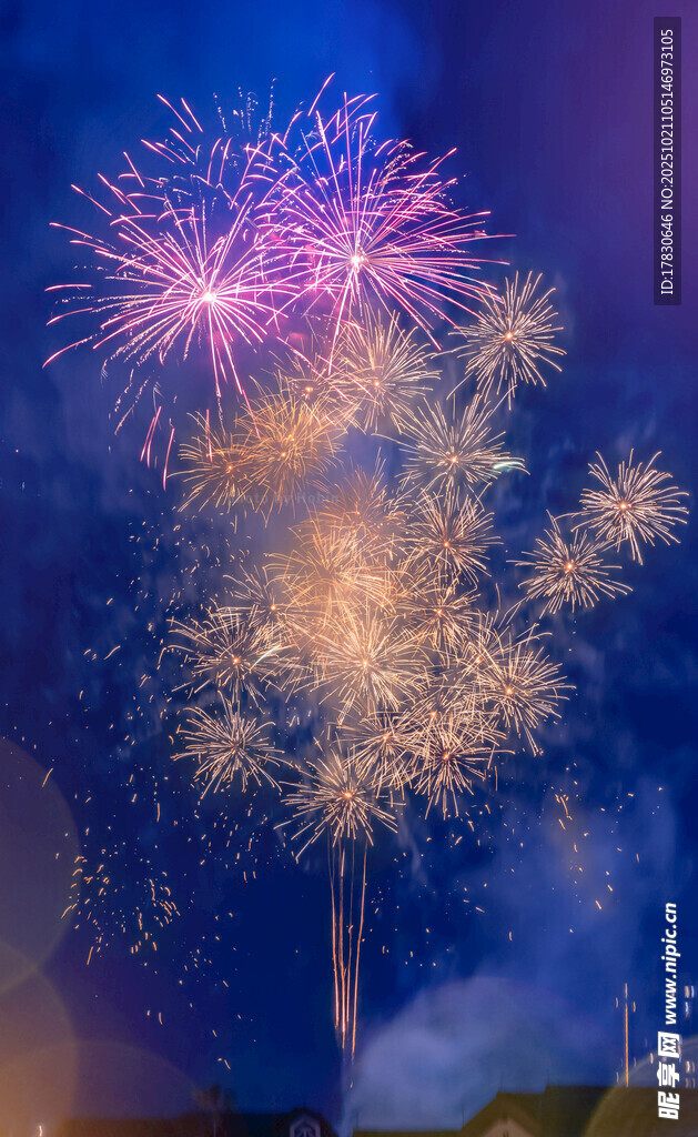 夜空中绚烂绽放的烟花