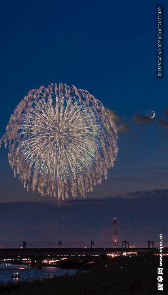 夜空绽放的绚烂烟花