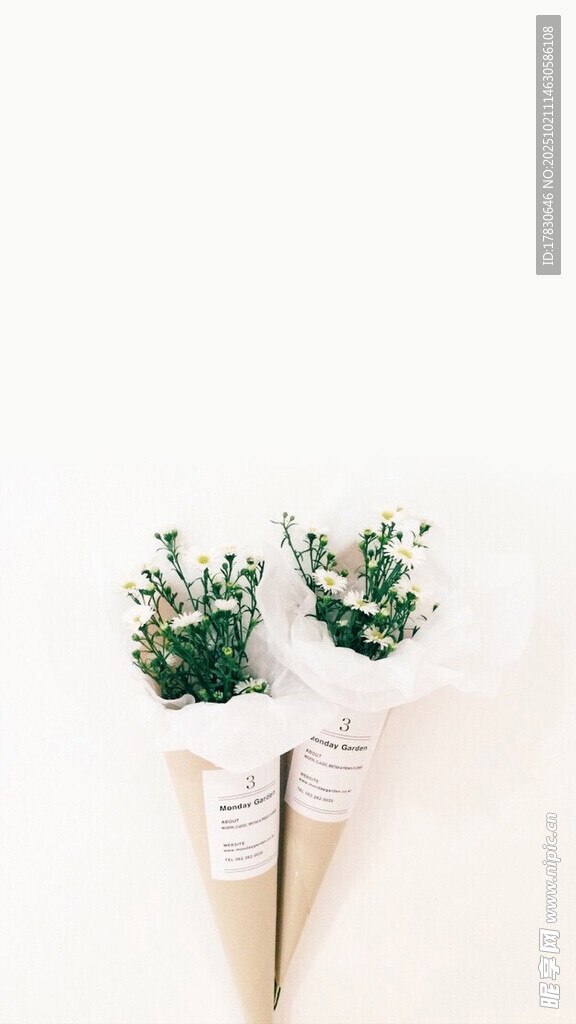 简约绿植花束