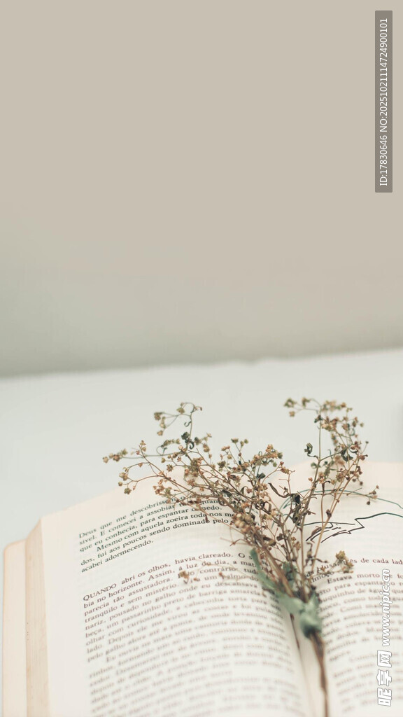书本上的干花装饰