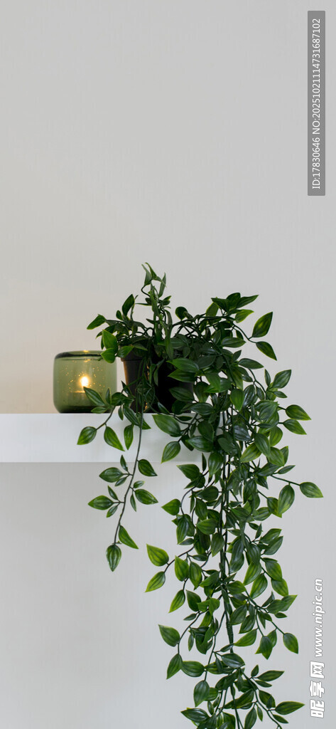 垂吊绿植装点白色台面