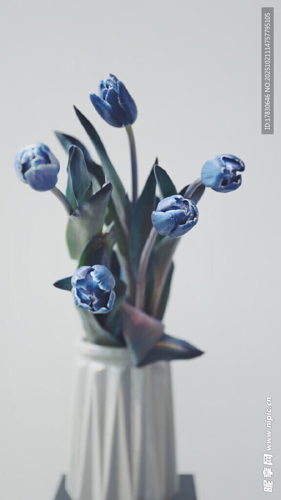 蓝花插于白色花瓶中