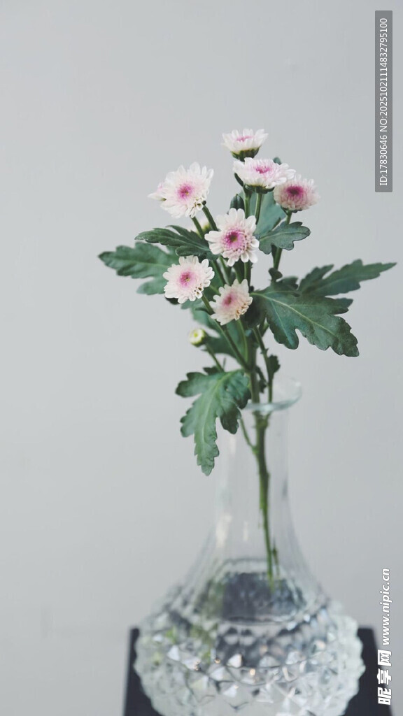花瓶中绽放的粉色小花