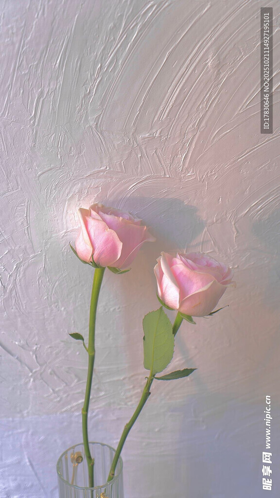 花瓶中的两朵粉色玫瑰
