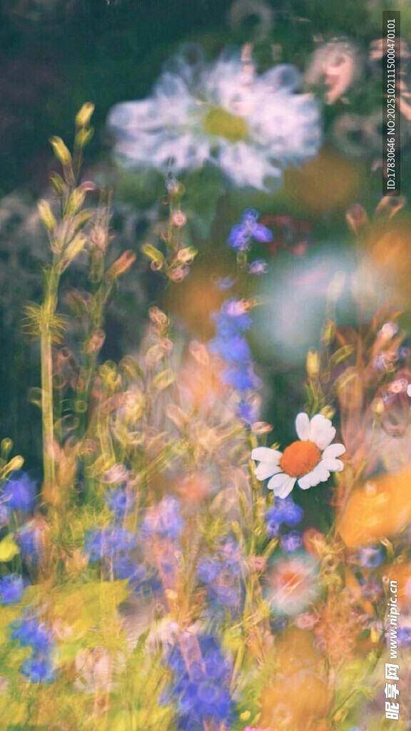 花海中的多彩小花