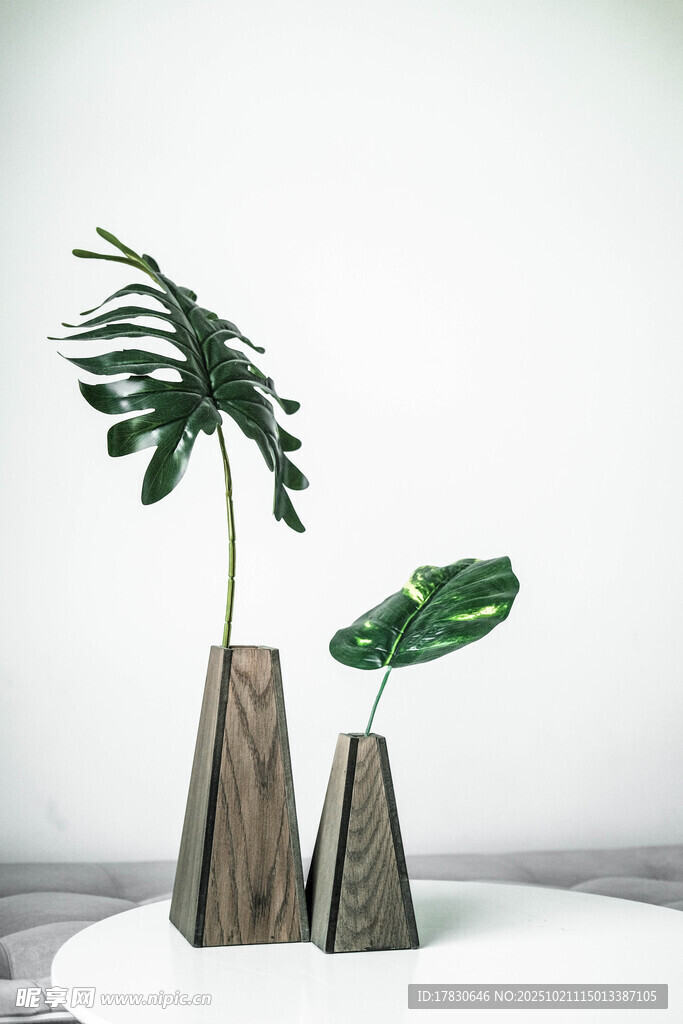 几何花盆中的绿植组合
