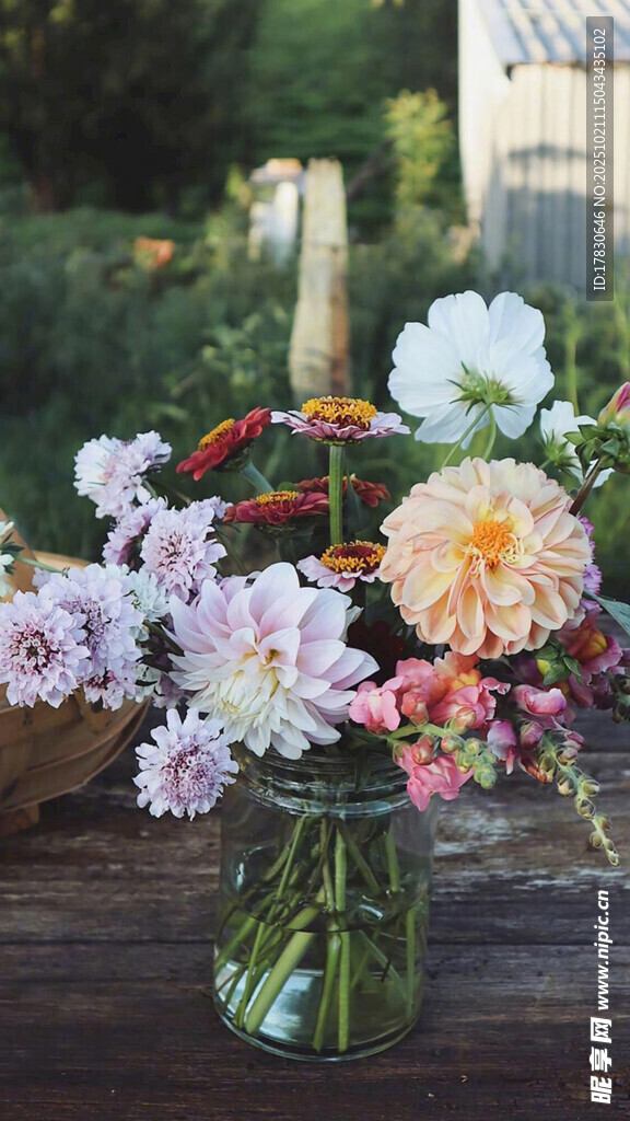 花瓶中的多彩鲜花组合