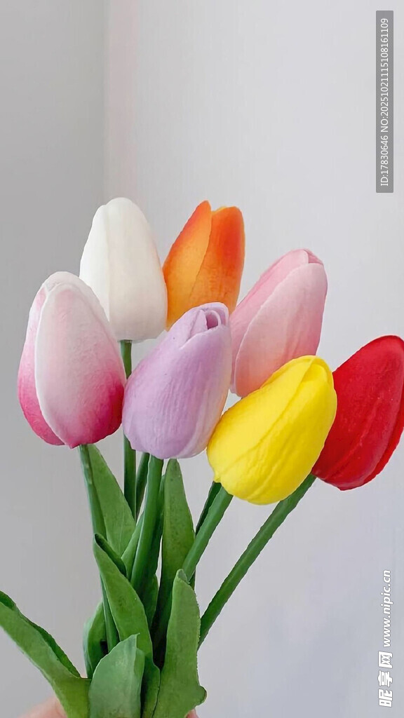 多彩郁金香花束