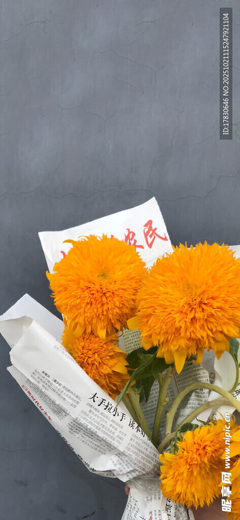 黄玫瑰与信件的浪漫组合