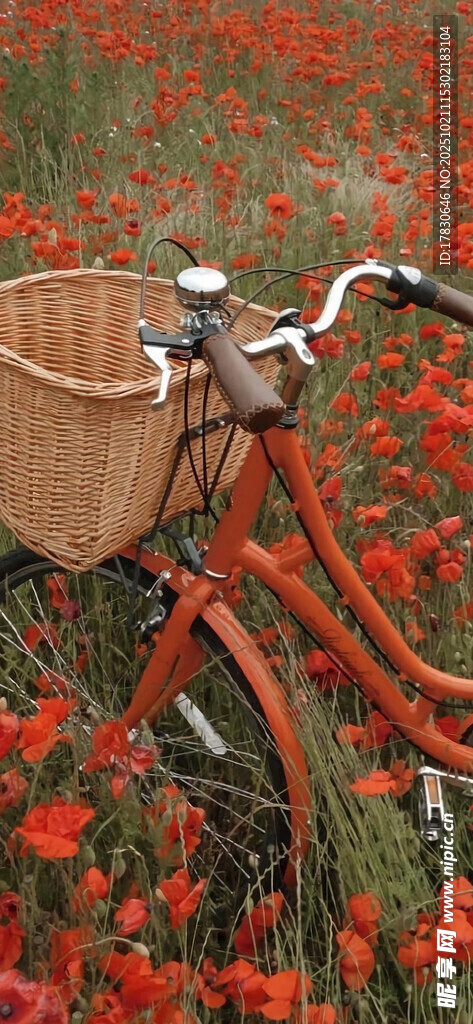 花海中的复古自行车