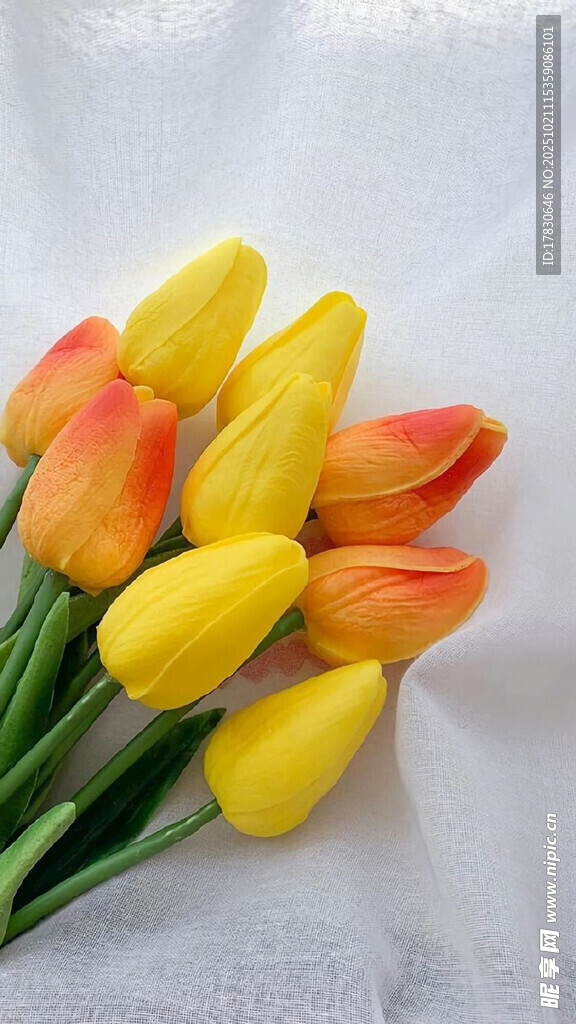 多彩郁金香花束
