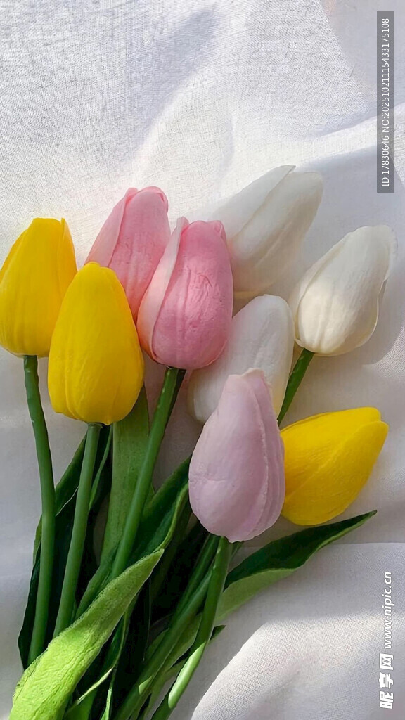 多彩郁金香花束