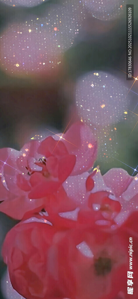 娇艳欲滴的粉色花卉