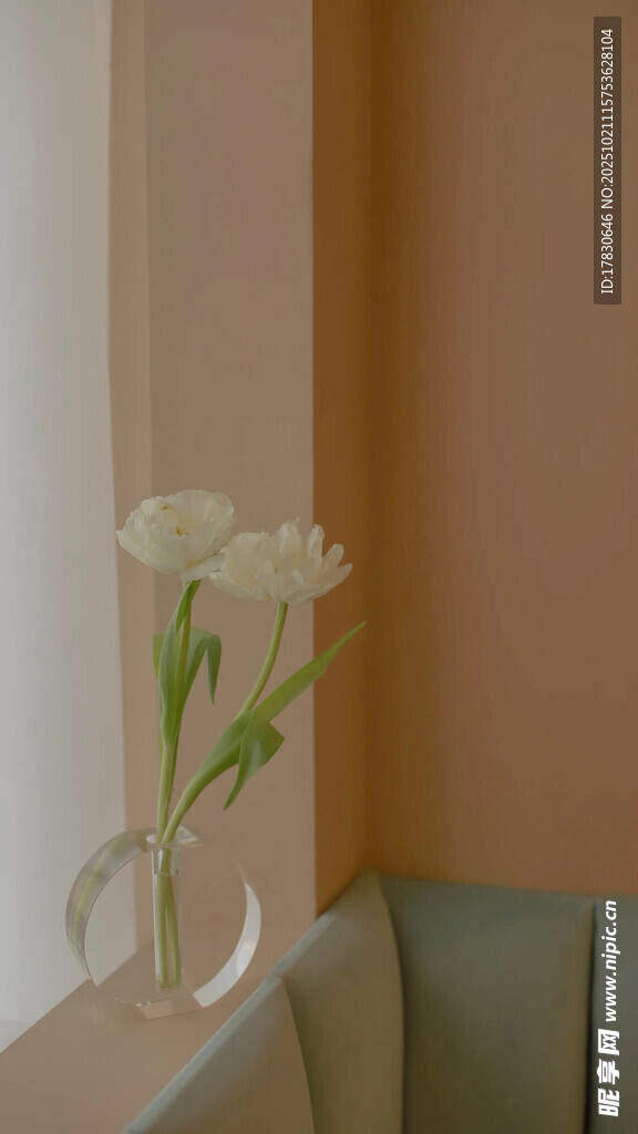 窗边素雅白郁金香花瓶