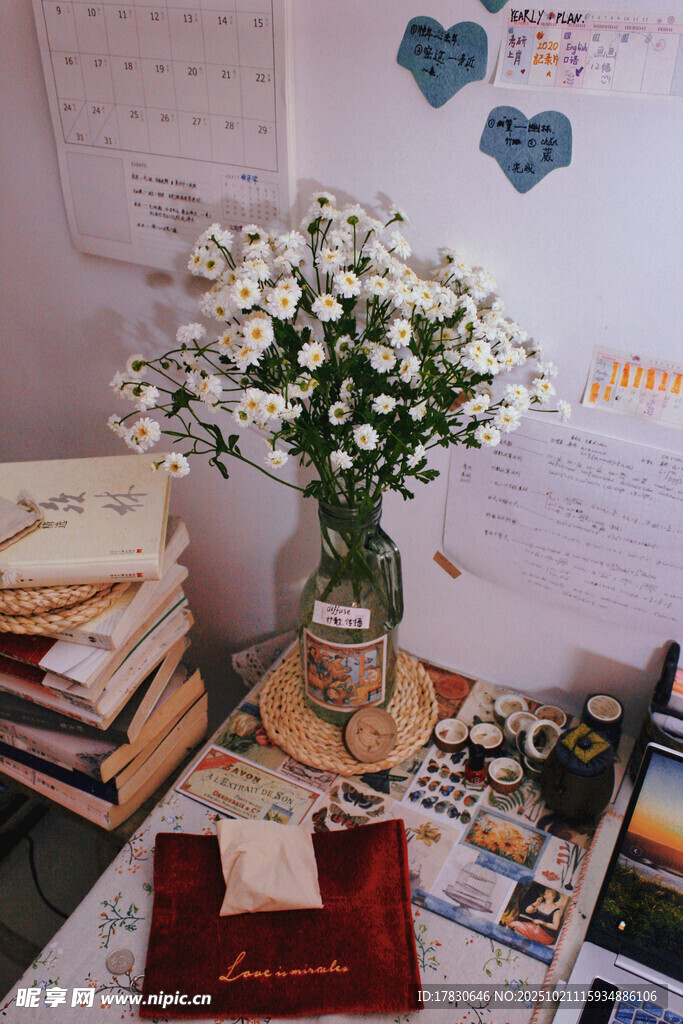 桌上花瓶中的清新小白菊