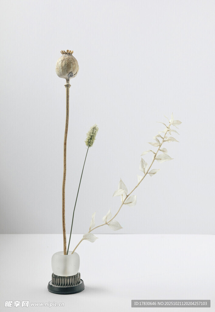 简约干花玻璃瓶插花摆件