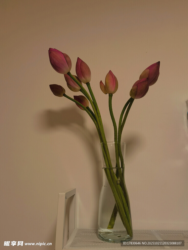 花瓶中的粉色花卉