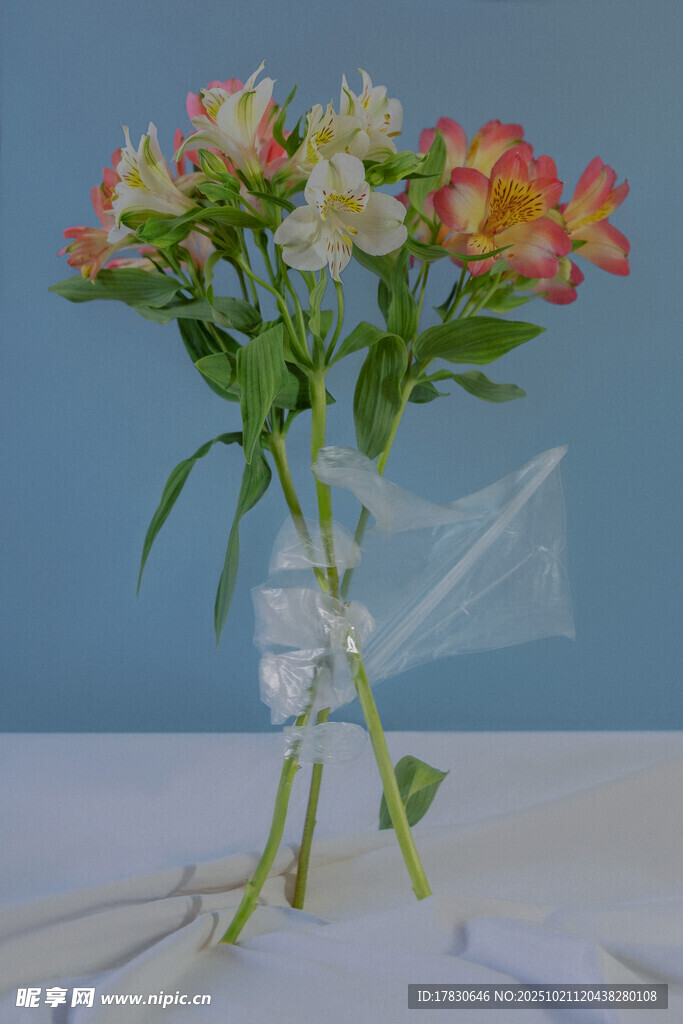 花瓶中的多彩花卉