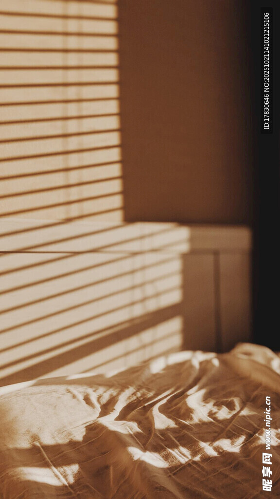温馨卧室中的舒适床铺