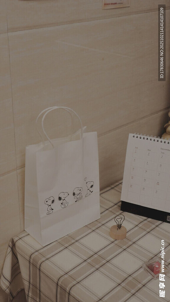 简约风手提袋与书本展示