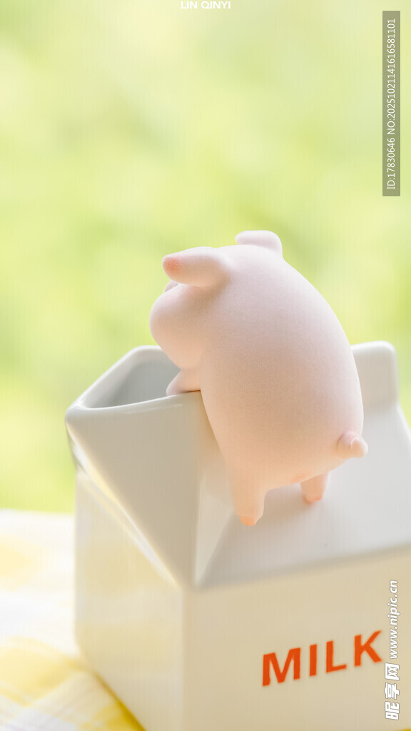 小猪立于牛奶盒上