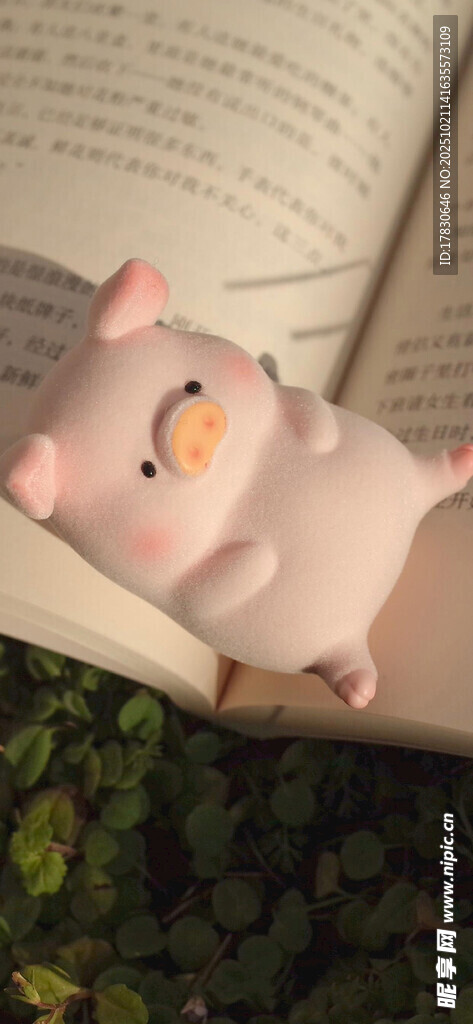 粉色小猪摆件置于书页间