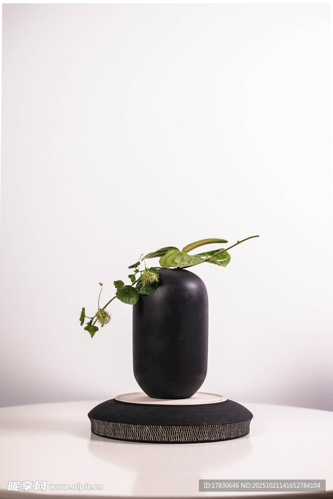 简约黑花瓶配绿植摆件