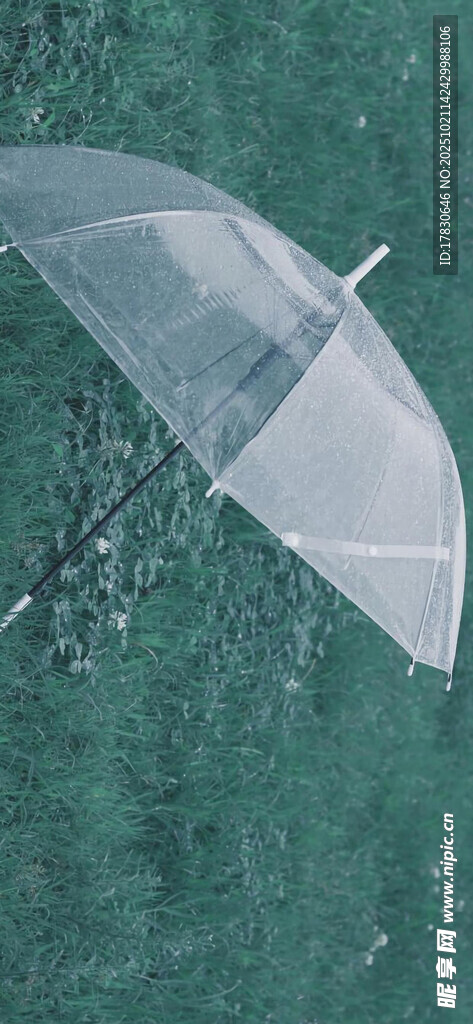 雨中透明伞
