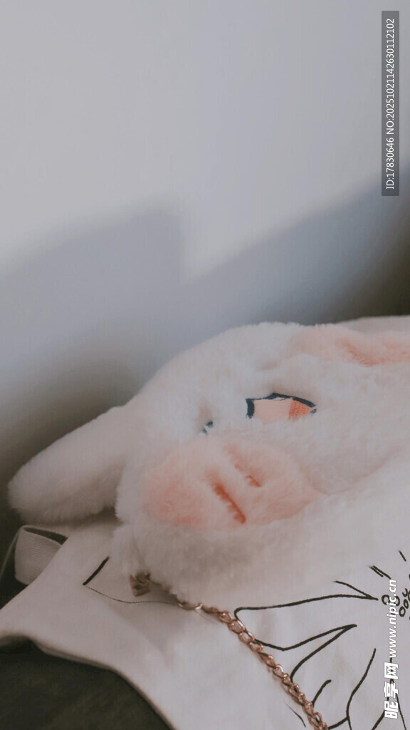 可爱兔子玩偶趴书本上