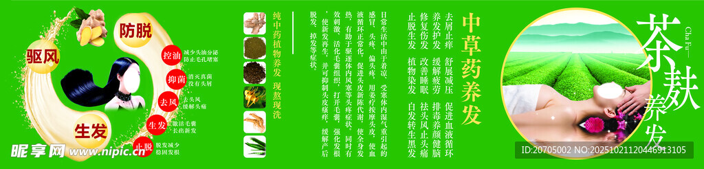 养发主题宣传海报 
