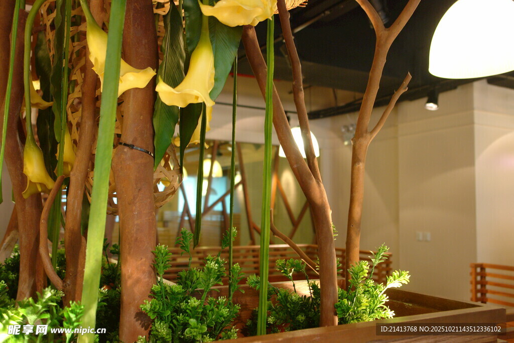 室内悬挂绿植装饰景观