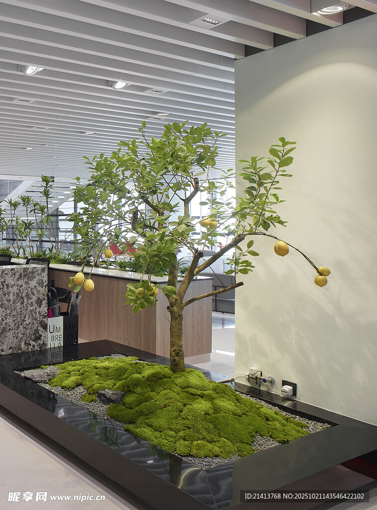 室内禅意绿植景观设计