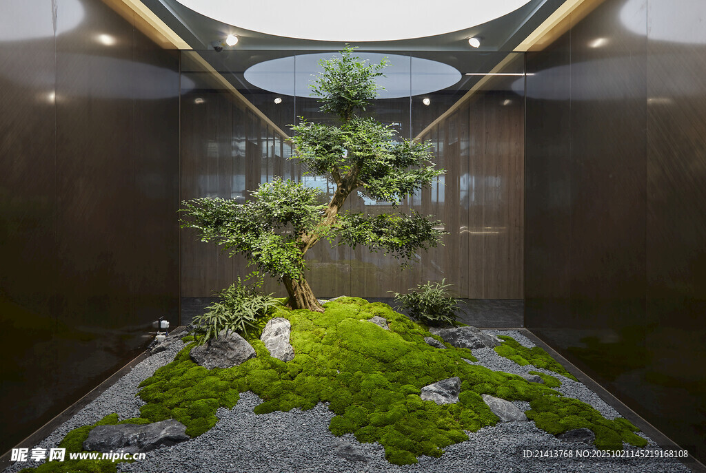 室内禅意绿植景观设计