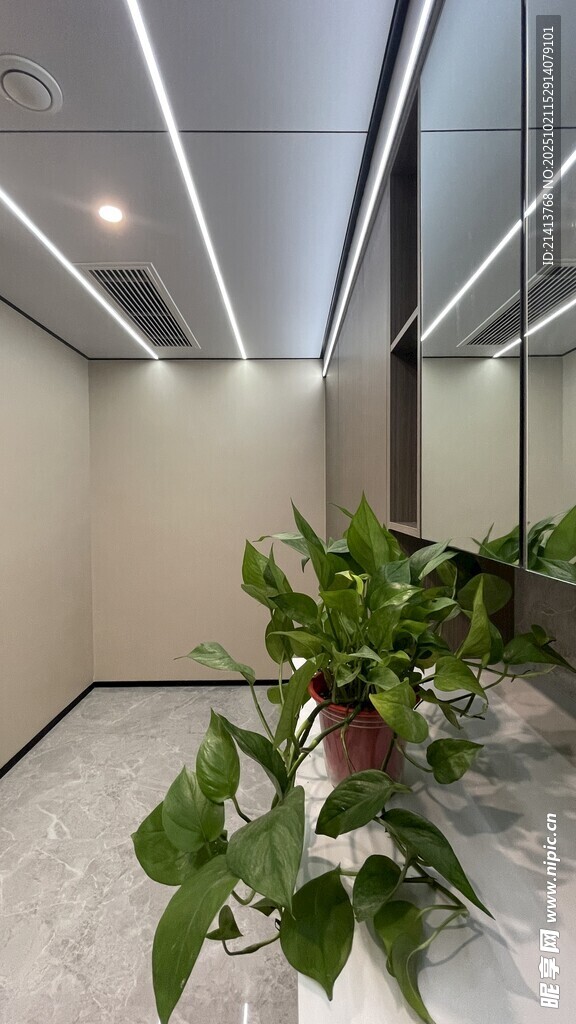 现代办公空间绿植装饰