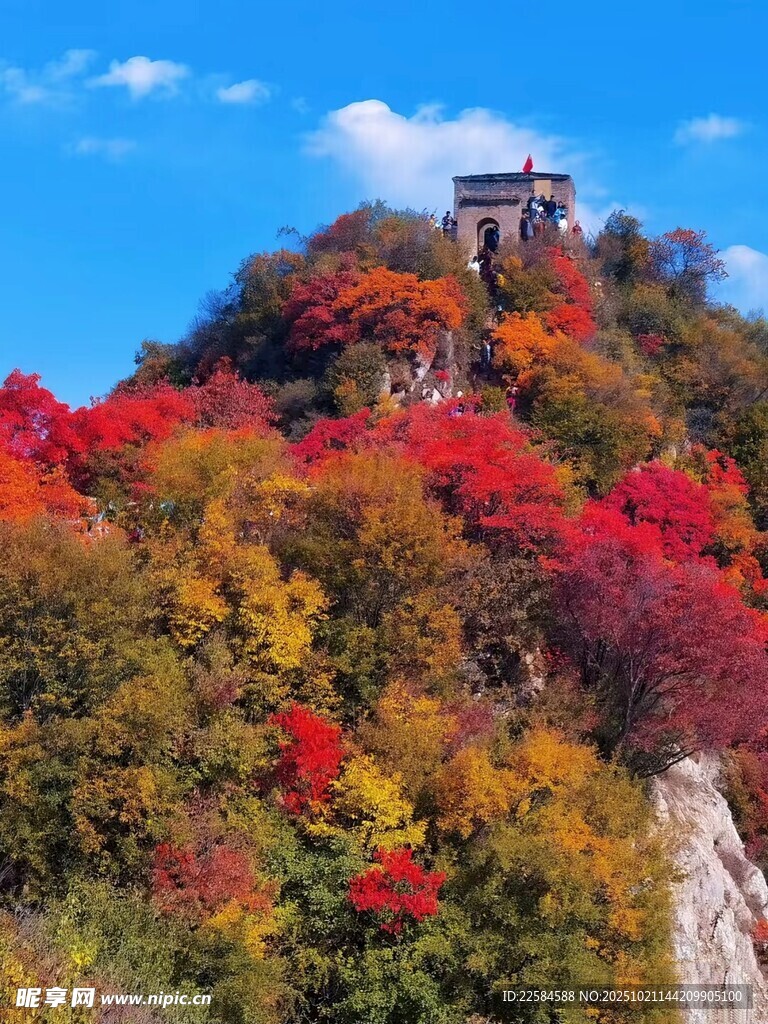 秋景