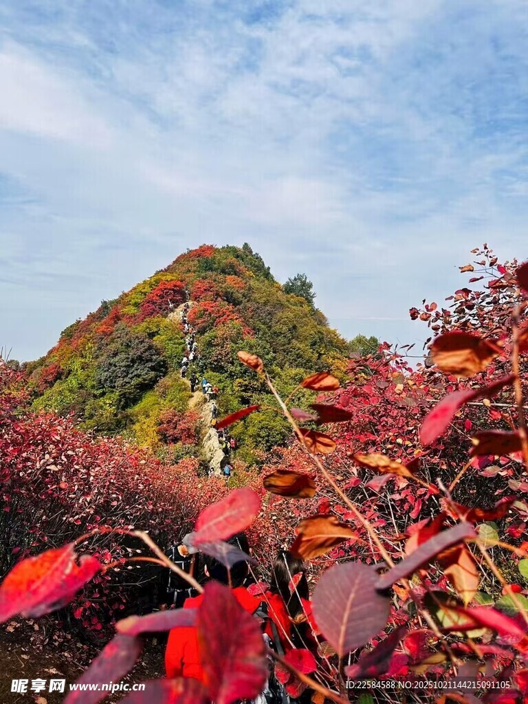 秋景