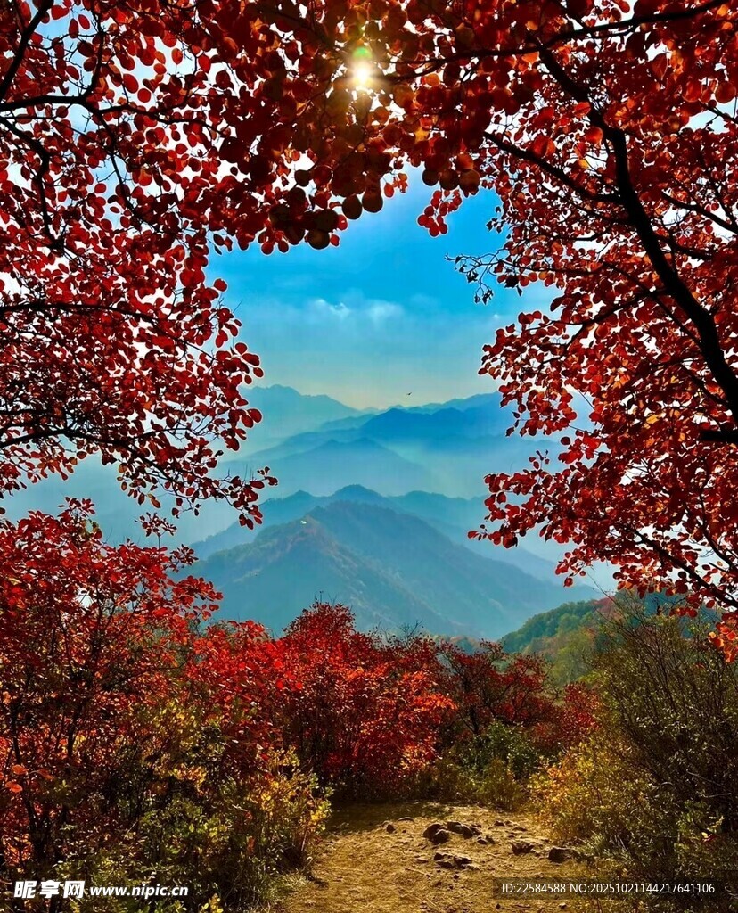 秋景