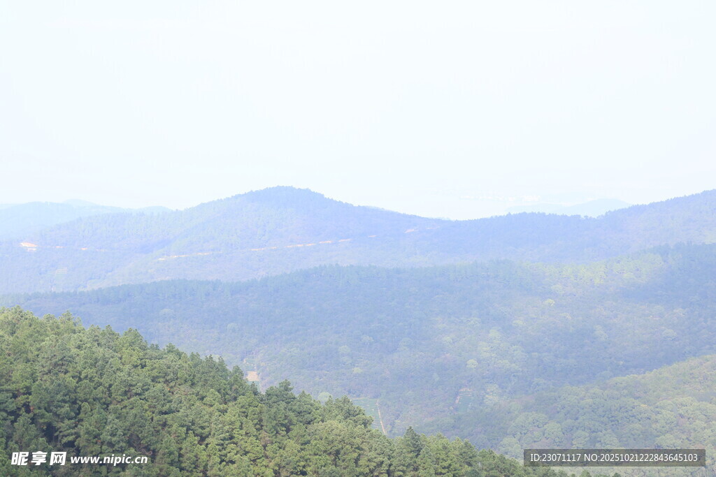 山