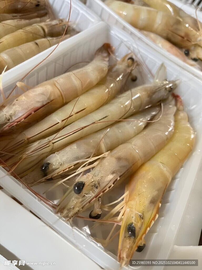 对虾