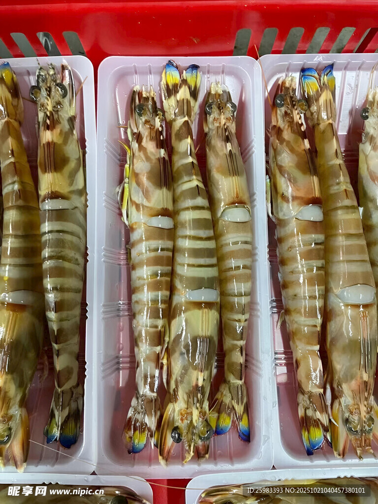 斑节虾
