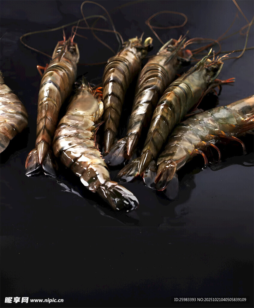 黑虎虾