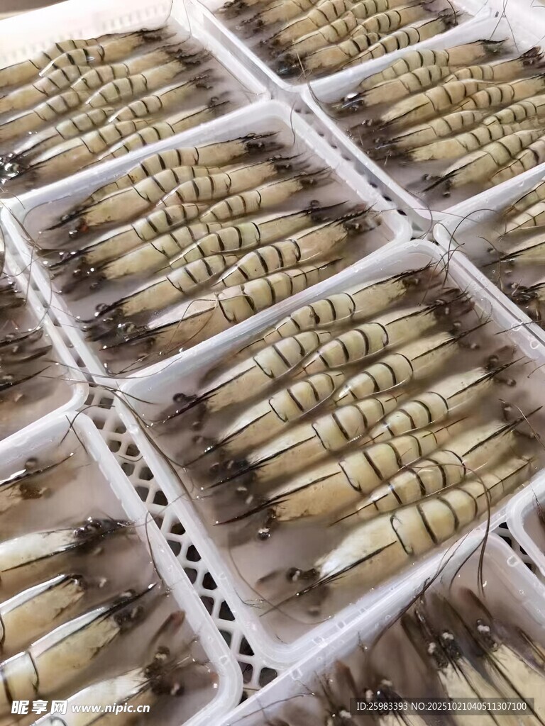 黑虎虾