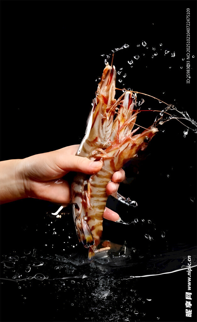 斑节虾