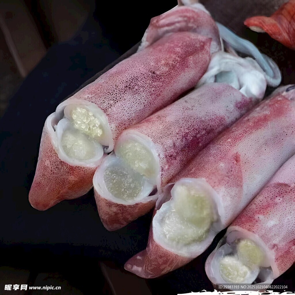 鱿鱼筒