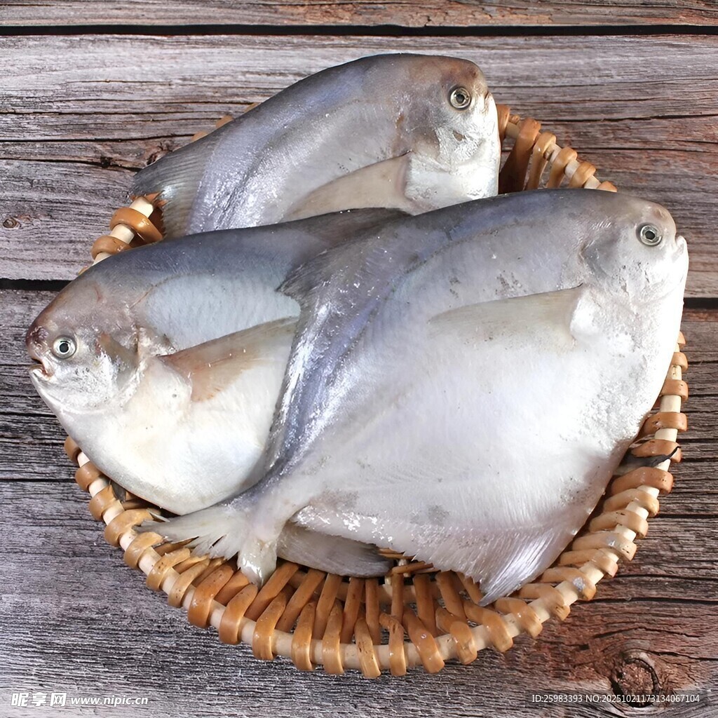 银鲳鱼