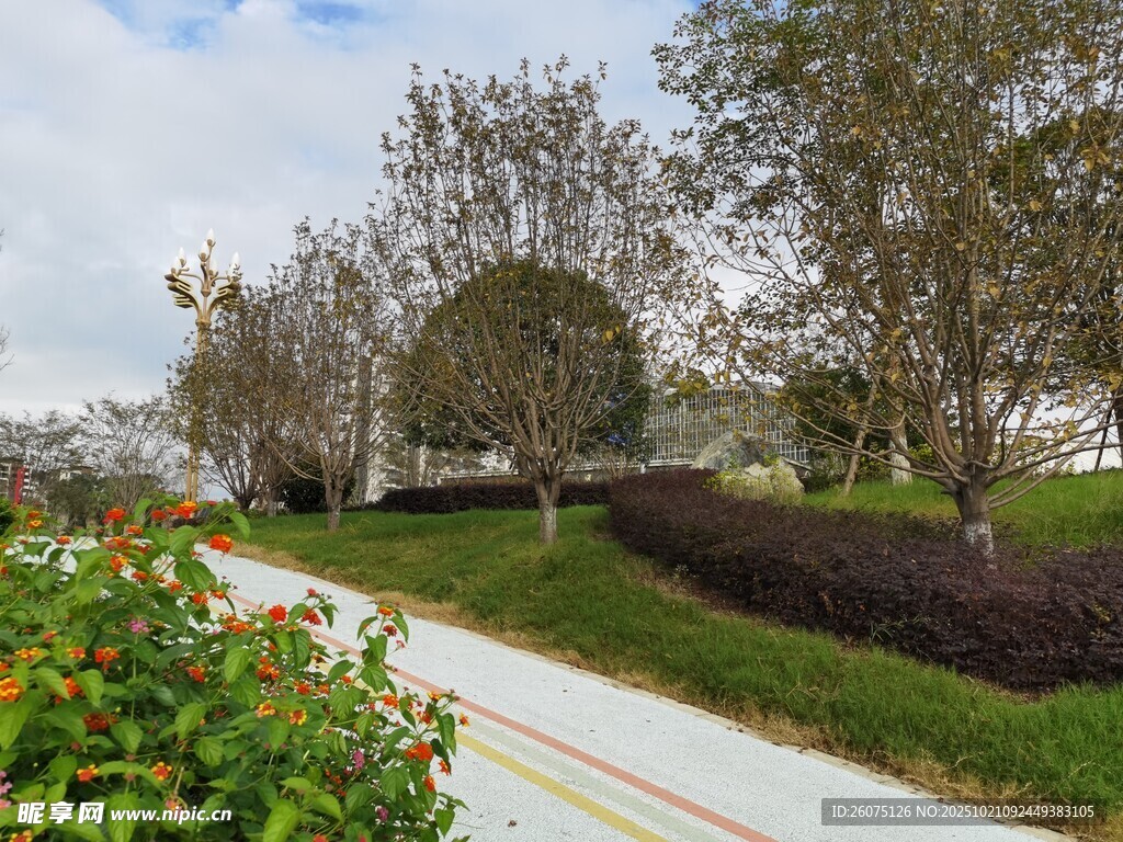 城市公园优美步道景观