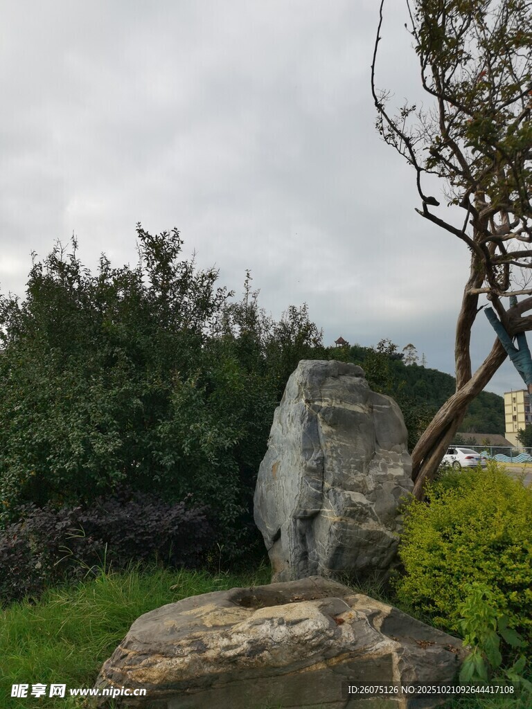 户外奇石绿植景观