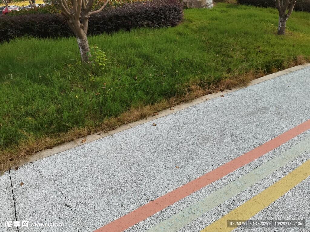 路边多彩标线与绿植景观