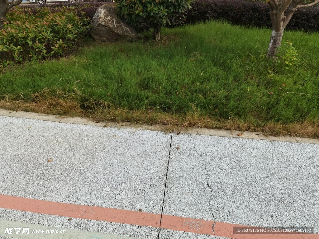 路边草地与灰白路面