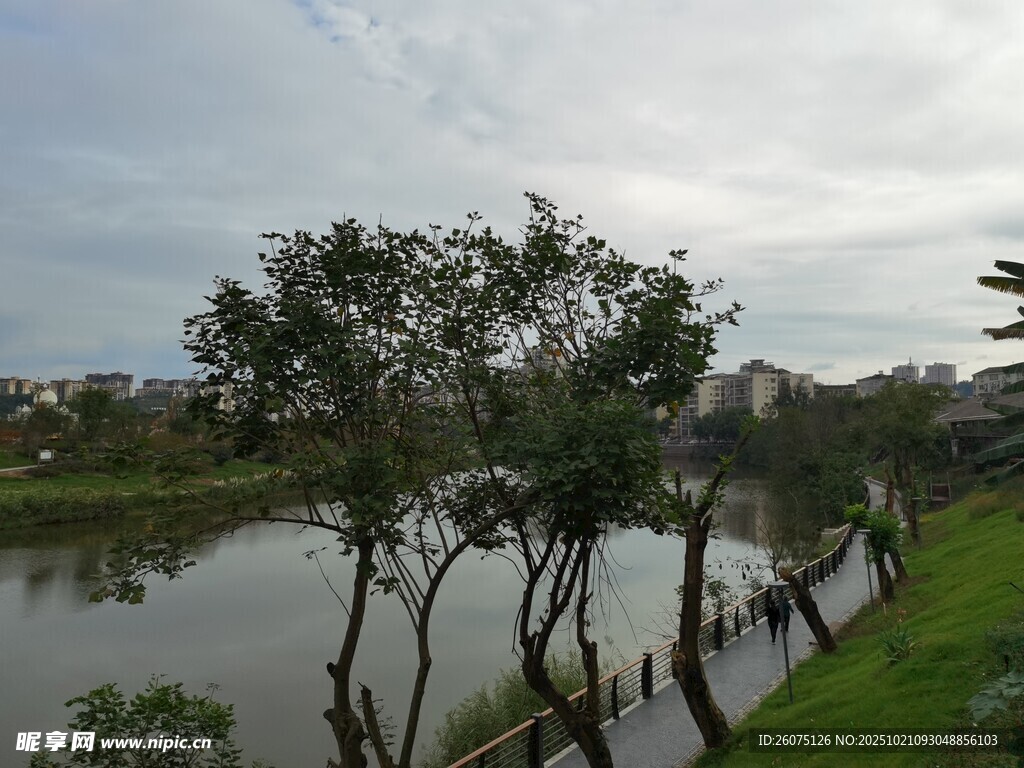 河畔漫步景绿树映清波